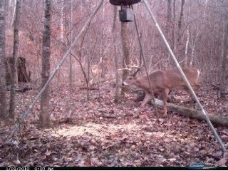 Property photo 13 - 1974 Acres in 23 Tracts Located in Christian, Hopkins & Edmonson County, Kentucky